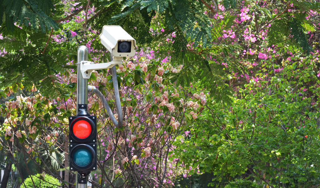 RED LIGHT CAMERA POLICY